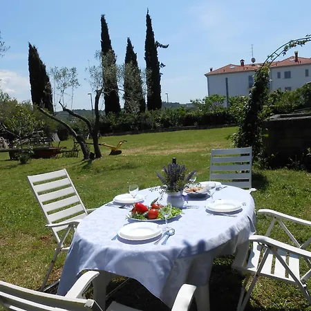Mirela Apartament